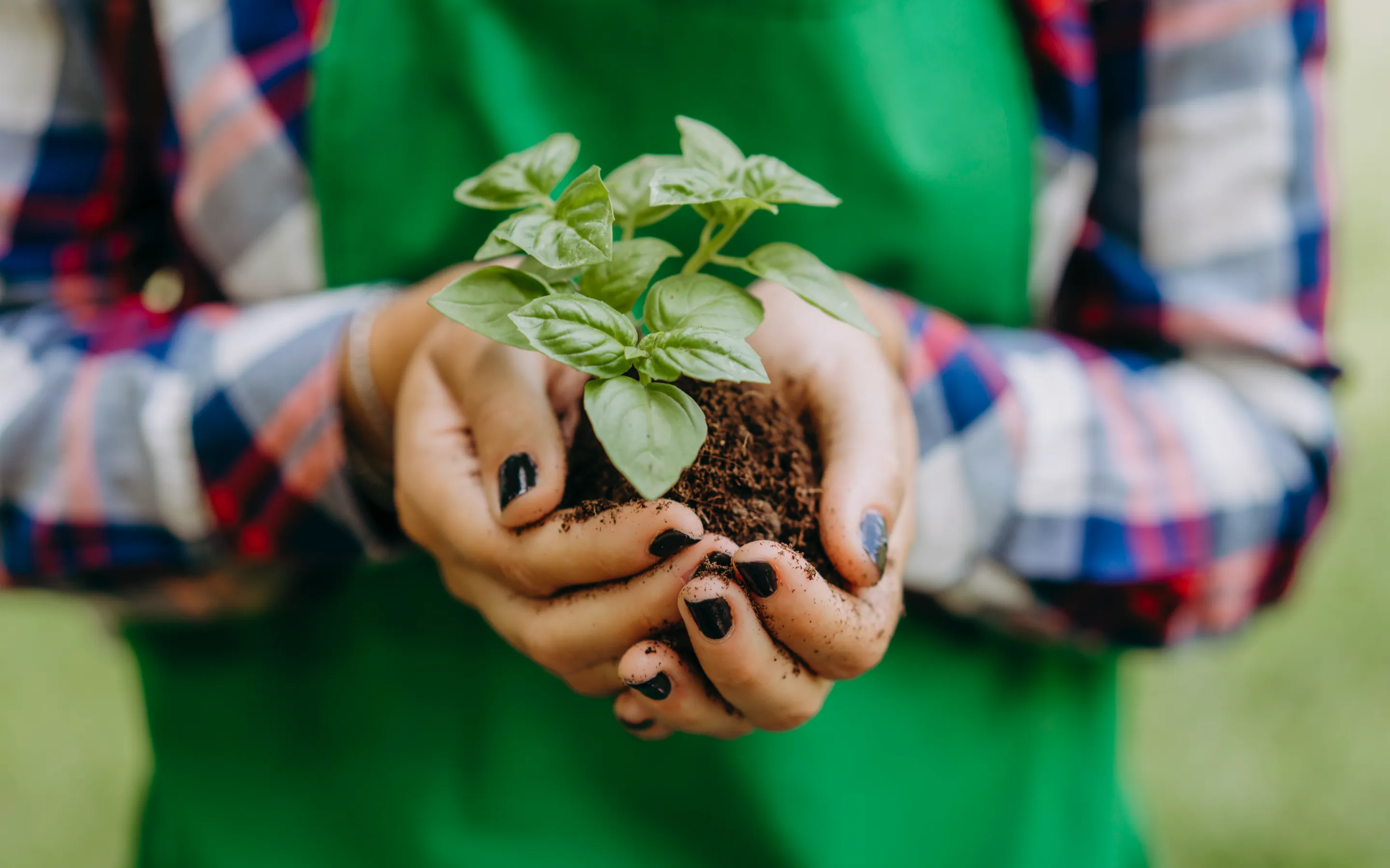Environmental & Sustainability